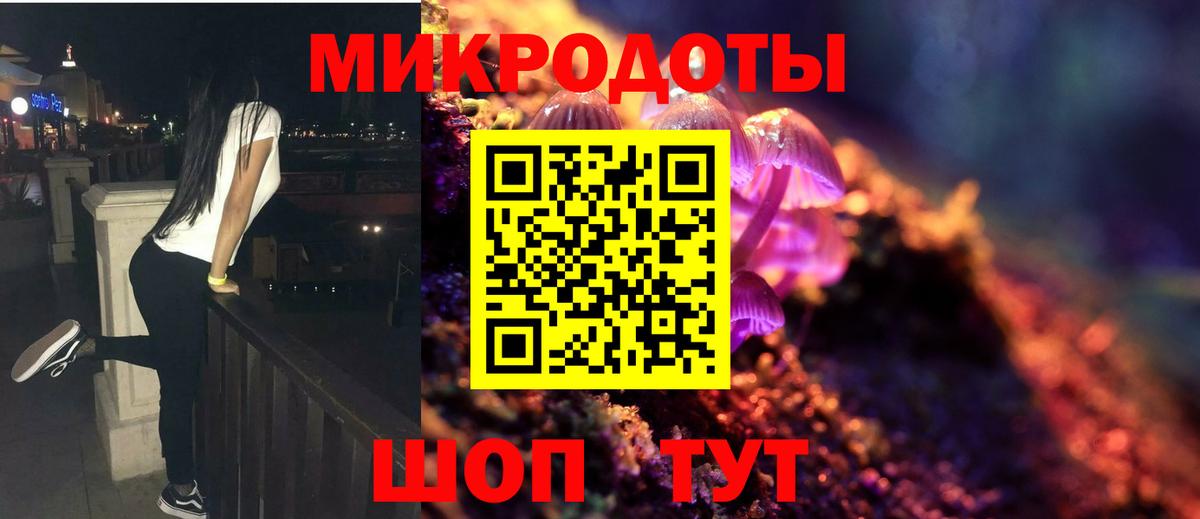 Галлюциногенные грибы мухоморы Красноармейск